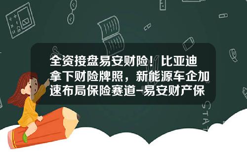 全资接盘易安财险！比亚迪拿下财险牌照，新能源车企加速布局保险赛道-易安财产保险股份有限公司