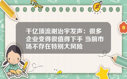 千亿顶流谢治宇发声：很多企业变得很值得下手 当前市场不存在特别大风险