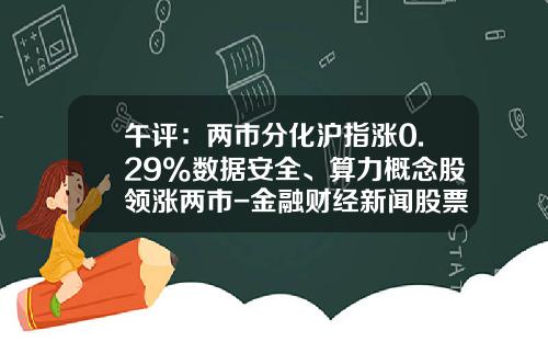 午评：两市分化沪指涨0.29%数据安全、算力概念股领涨两市-金融财经新闻股票投资资讯