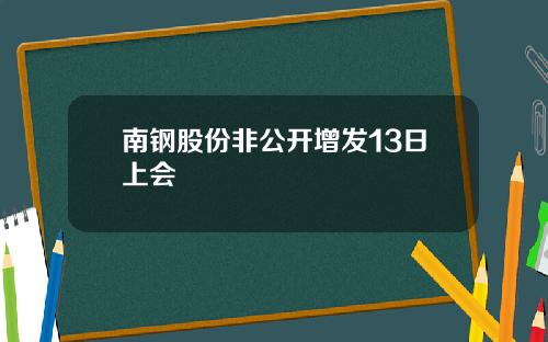 南钢股份非公开增发13日上会