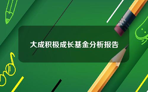 大成积极成长基金分析报告