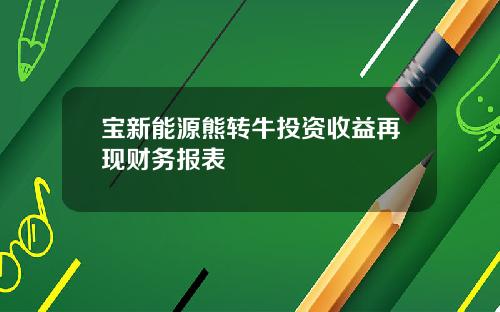 宝新能源熊转牛投资收益再现财务报表