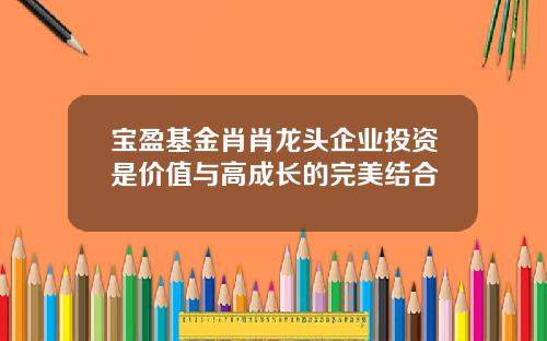 宝盈基金肖肖龙头企业投资是价值与高成长的完美结合