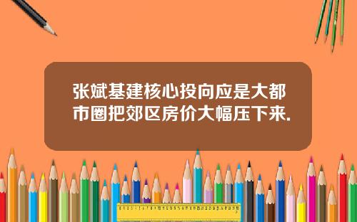 张斌基建核心投向应是大都市圈把郊区房价大幅压下来.