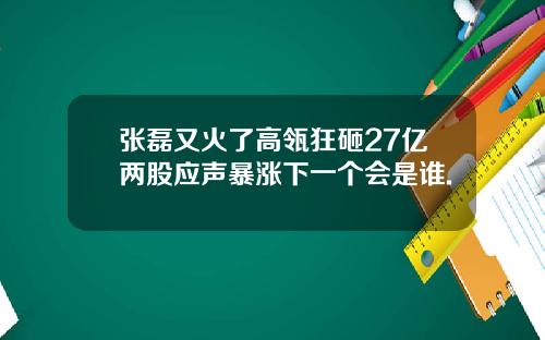 张磊又火了高瓴狂砸27亿两股应声暴涨下一个会是谁.