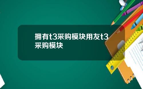 拥有t3采购模块用友t3采购模块