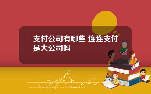 支付公司有哪些 连连支付是大公司吗