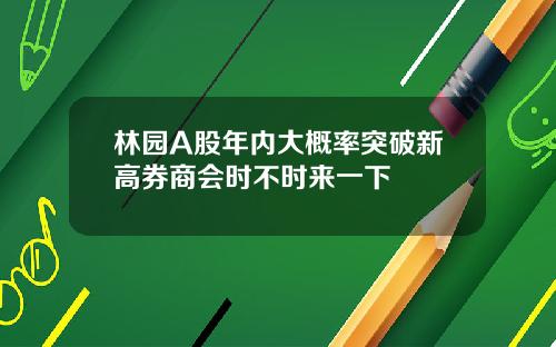 林园A股年内大概率突破新高券商会时不时来一下