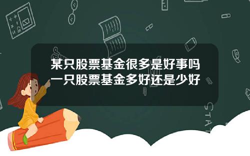 某只股票基金很多是好事吗一只股票基金多好还是少好