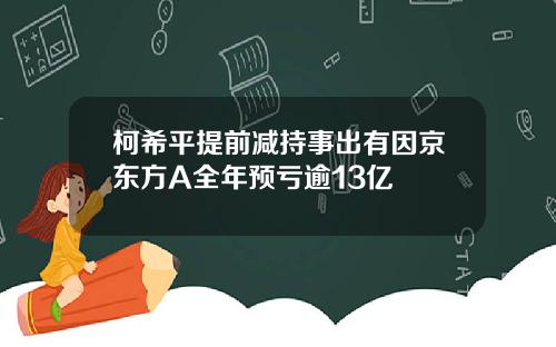 柯希平提前减持事出有因京东方A全年预亏逾13亿