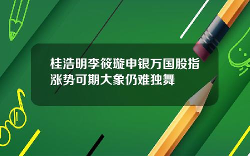 桂浩明李筱璇申银万国股指涨势可期大象仍难独舞