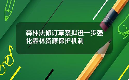 森林法修订草案拟进一步强化森林资源保护机制