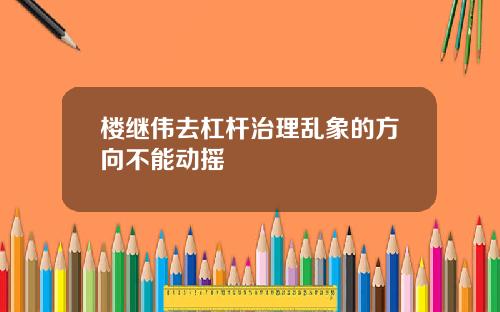 楼继伟去杠杆治理乱象的方向不能动摇