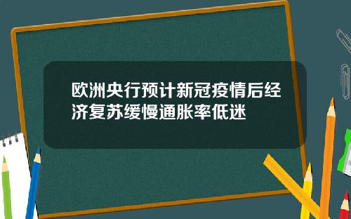 欧洲央行预计新冠疫情后经济复苏缓慢通胀率低迷