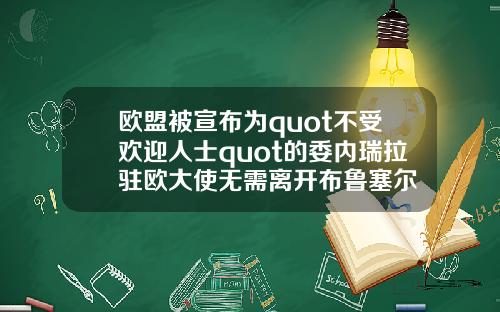 欧盟被宣布为quot不受欢迎人士quot的委内瑞拉驻欧大使无需离开布鲁塞尔