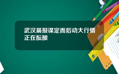 武汉晨报谋定而后动大行情正在酝酿