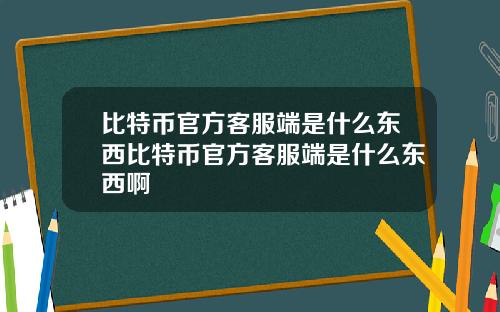 比特币官方客服端是什么东西比特币官方客服端是什么东西啊