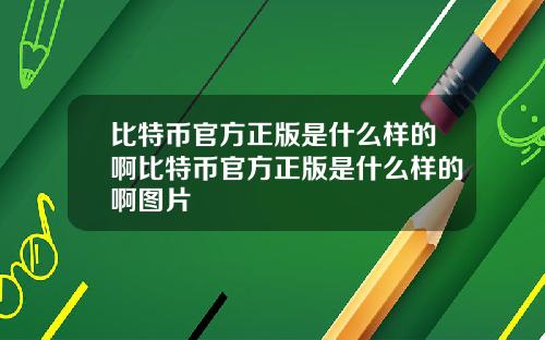 比特币官方正版是什么样的啊比特币官方正版是什么样的啊图片