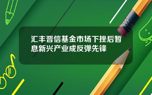 汇丰晋信基金市场下挫后暂息新兴产业成反弹先锋