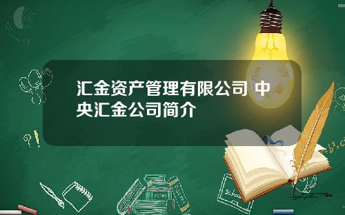 汇金资产管理有限公司 中央汇金公司简介