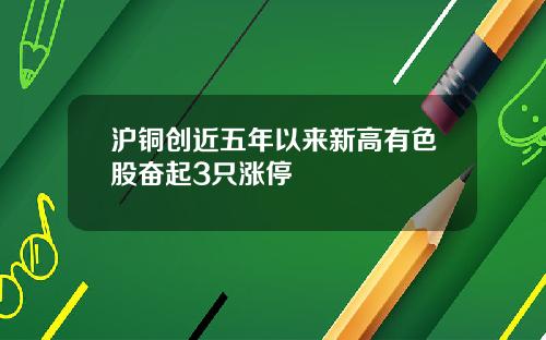 沪铜创近五年以来新高有色股奋起3只涨停