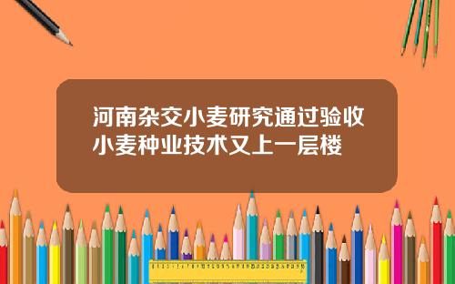 河南杂交小麦研究通过验收小麦种业技术又上一层楼