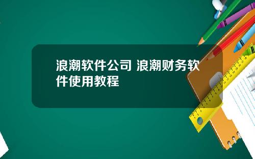 浪潮软件公司 浪潮财务软件使用教程