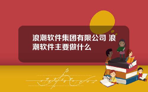 浪潮软件集团有限公司 浪潮软件主要做什么