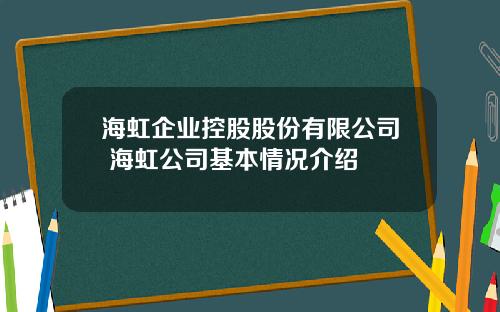 海虹企业控股股份有限公司 海虹公司基本情况介绍