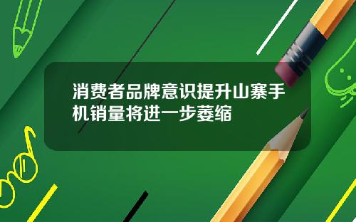 消费者品牌意识提升山寨手机销量将进一步萎缩