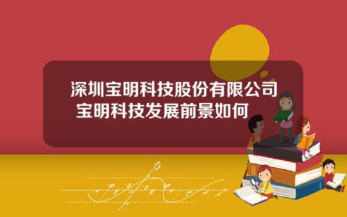 深圳宝明科技股份有限公司 宝明科技发展前景如何