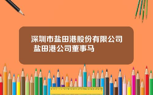 深圳市盐田港股份有限公司 盐田港公司董事马