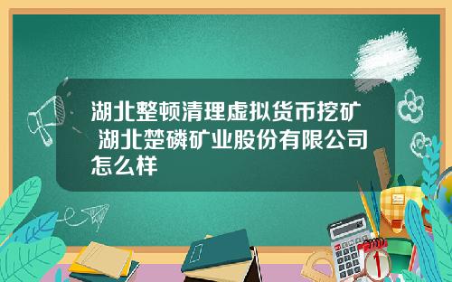 湖北整顿清理虚拟货币挖矿 湖北楚磷矿业股份有限公司怎么样