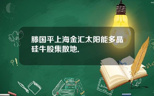 滕国平上海金汇太阳能多晶硅牛股集散地.