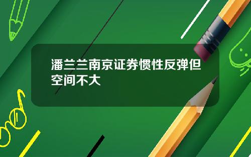 潘兰兰南京证券惯性反弹但空间不大