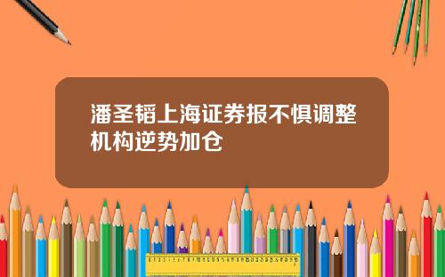 潘圣韬上海证券报不惧调整机构逆势加仓