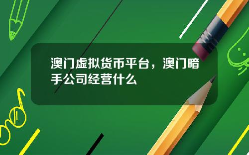 澳门虚拟货币平台，澳门暗手公司经营什么