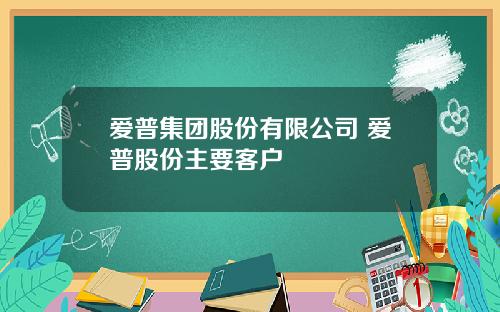 爱普集团股份有限公司 爱普股份主要客户