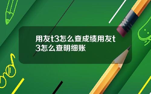 用友t3怎么查成绩用友t3怎么查明细账