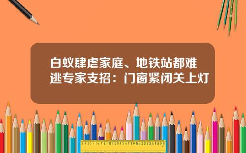 白蚁肆虐家庭、地铁站都难逃专家支招：门窗紧闭关上灯