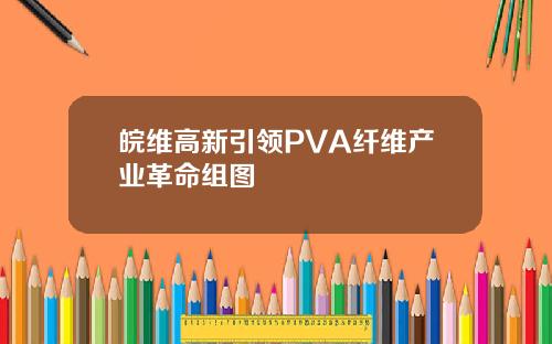 皖维高新引领PVA纤维产业革命组图