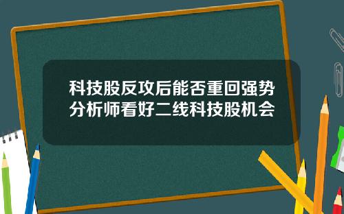 科技股反攻后能否重回强势分析师看好二线科技股机会