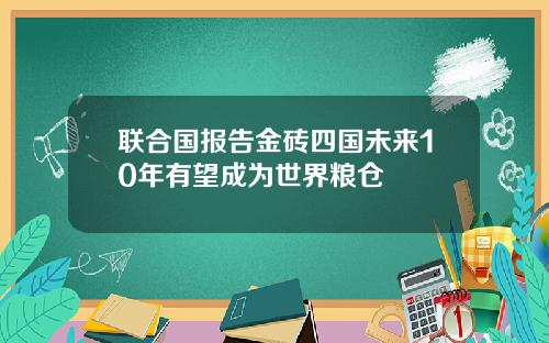 联合国报告金砖四国未来10年有望成为世界粮仓