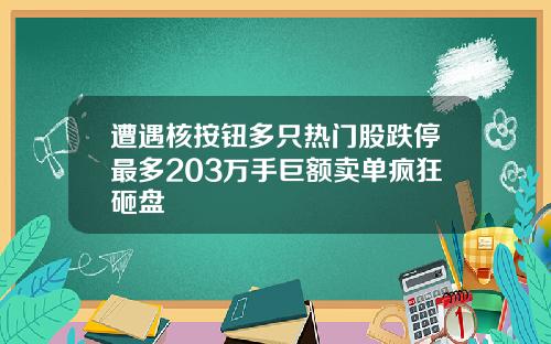 遭遇核按钮多只热门股跌停最多203万手巨额卖单疯狂砸盘