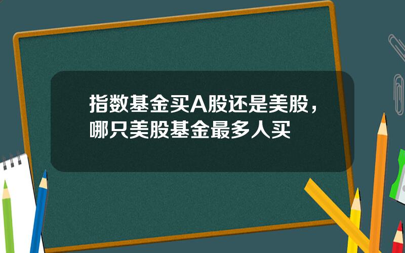 指数基金买A股还是美股，哪只美股基金最多人买