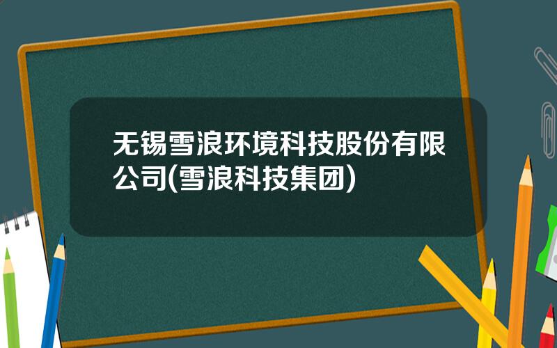 无锡雪浪环境科技股份有限公司(雪浪科技集团)