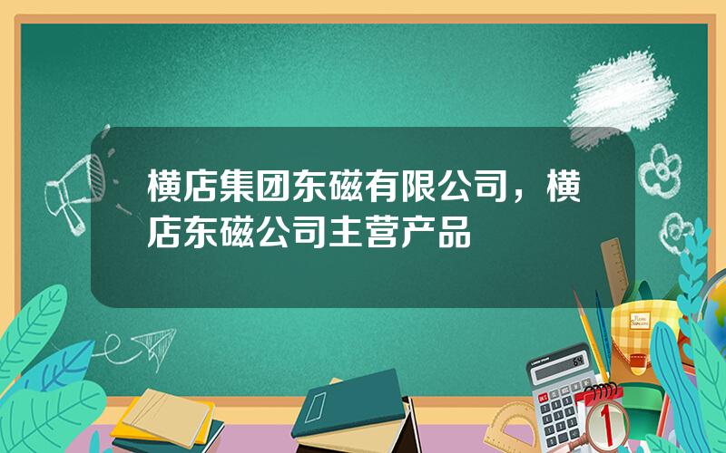 横店集团东磁有限公司，横店东磁公司主营产品