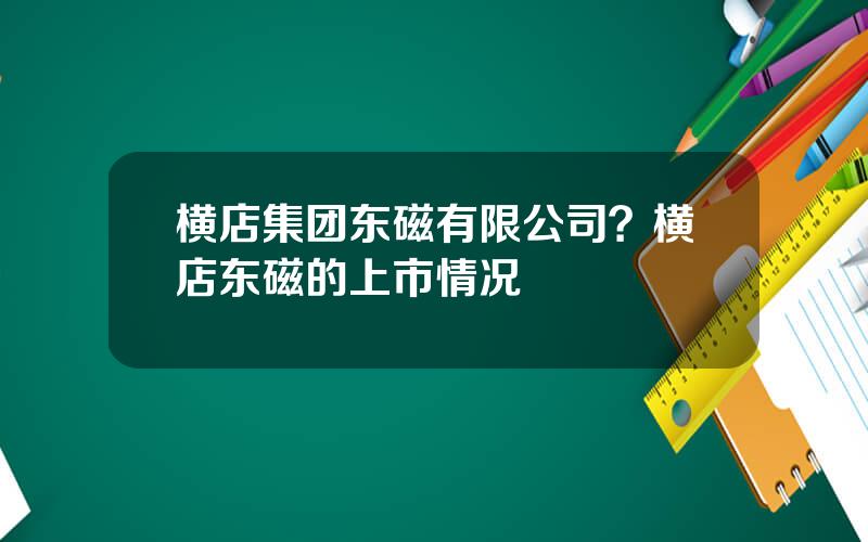 横店集团东磁有限公司？横店东磁的上市情况