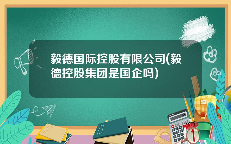 毅德国际控股有限公司(毅德控股集团是国企吗)