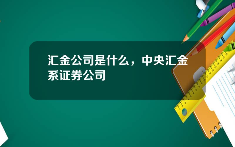 汇金公司是什么，中央汇金系证券公司